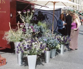 Purple Flower Vendors on High Street