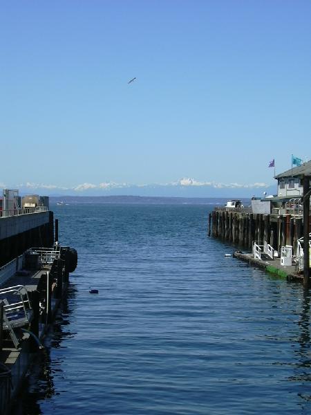 Seattle waterfront - docks