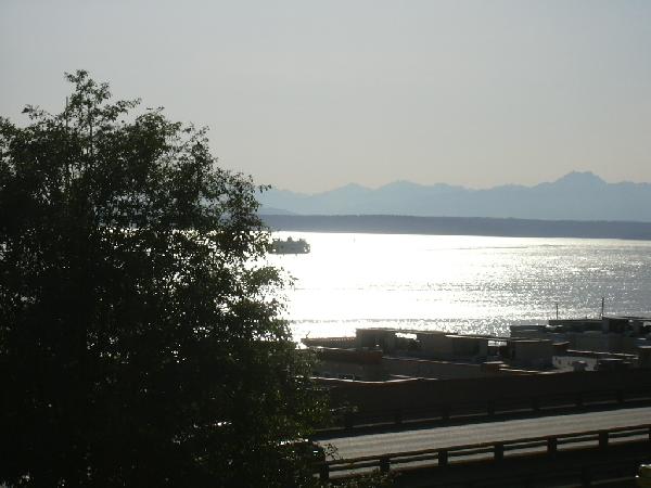 Puget Sound in the sun